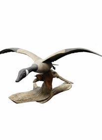 Canadian Goose in Flight on Top of a Wooden Carved Stand. Signed By: Kett (Carved) Underneath Goose.