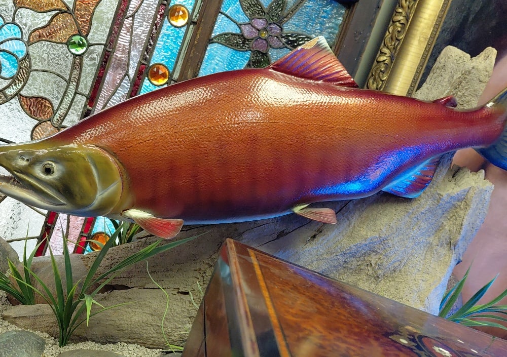 Salmon Display (For Commercial Decorative) of Sockeye Salmon, situatied on large Rock Bed and: Salmon Display of Sockeye Salmon on Large Rock Bed & Habitat.