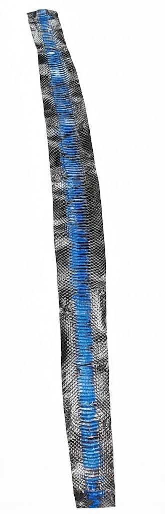 5 Ft Long Dyed & Blue and Black Genuine Snake Skin.: Blue and Black Genuine 5 Ft Snake Skin (Blue & Black). 60" x5"