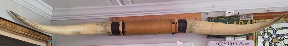 Leather Wrapped Longhorn Steer Mount (1 of 2)