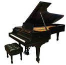 Steinway Concert D