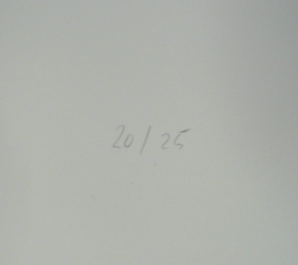 Thomas RUFF (*1958) BK: Thomas RUFF (*1958), 'Nudes But 09', photo / C-Print, no. 20/25, 2000/2004, signed. This photo is signed, dated, and numbered by the artist verso. Sheet dimensions H 62 cm, W 50 cm. This work is part