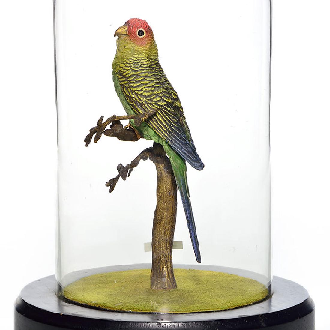 Vienna bronze, cold painted parakeet, 7 1/4 inch, (1 of 2)