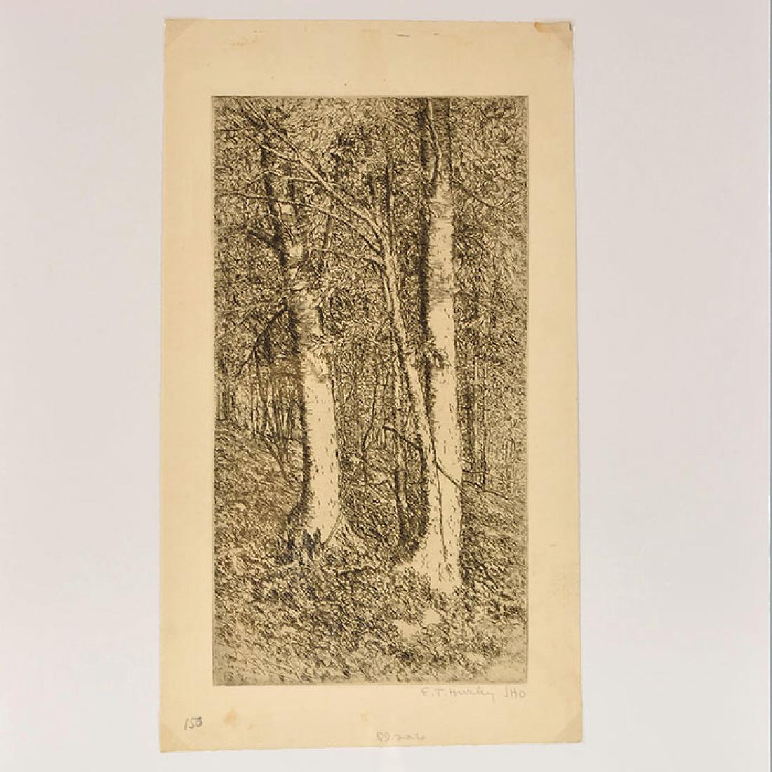 E.T. Hurley etching, beech trees (1 of 1)