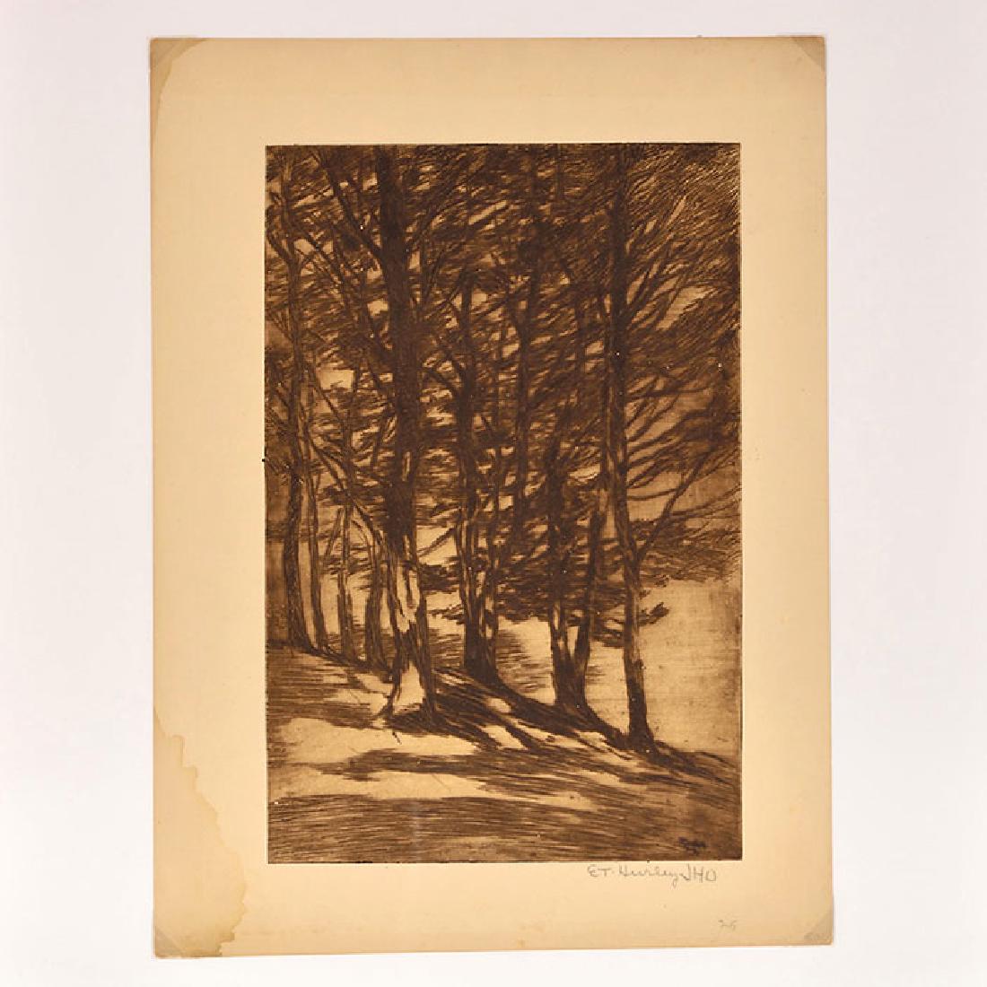 E.T. Hurley etching, copse of trees, 12 x 8 inches (1 of 1)