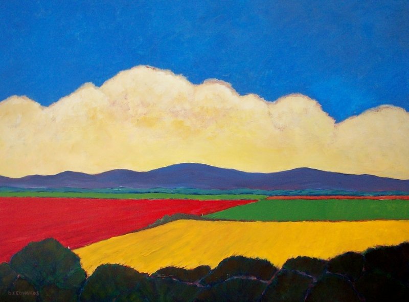 Mixed Fields