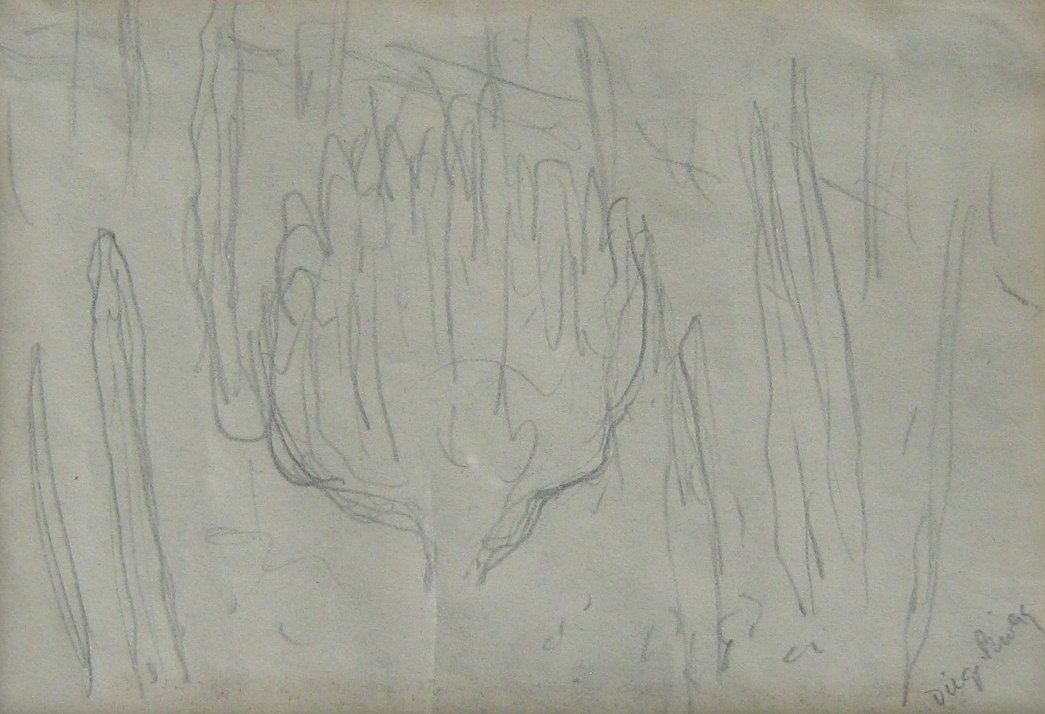Cactus Sketch: DIEGO RIVERA (Mexican 1886 - 1957 ) Cactus Sketch Pencil drawing 3.75" x 5.5" (9.53 x 13.97cm.) Signed lower right