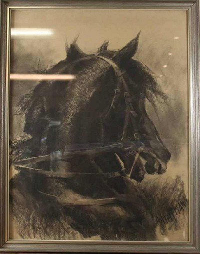 Anton Hoffmann (1863-1938) "Portrait of a Horse": Hoffmann, Anton (1863-1938), "Pferdeportrait", re. u. signiert hinter Glas gerahmt H=68,0 B=55,0cm