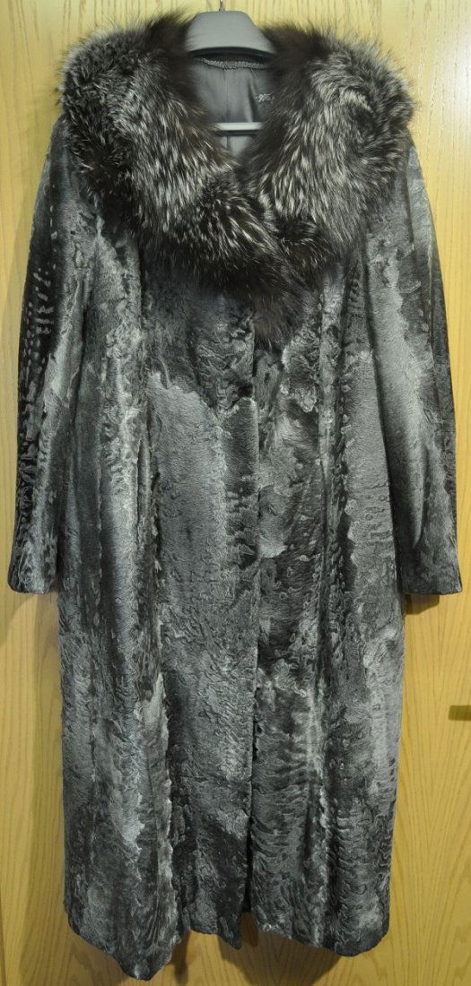 Breitschwanzpersianer, gray collar Poloarfuchs, fine qu: Breitschwanzpersianer, Kragen grauer Poloarfuchs, feine Qualität, Zustand gut, Größe: