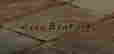 item-13675920=4