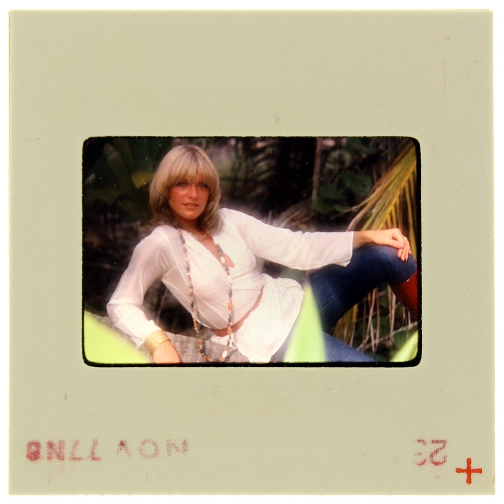 Jane Hargrave 1977 35mm By Bob Guccione: Original 35mm slide features Jane Hargrave taken by Bob Guccione in 1977.Subject: It was Jane Hargrave's ambition t