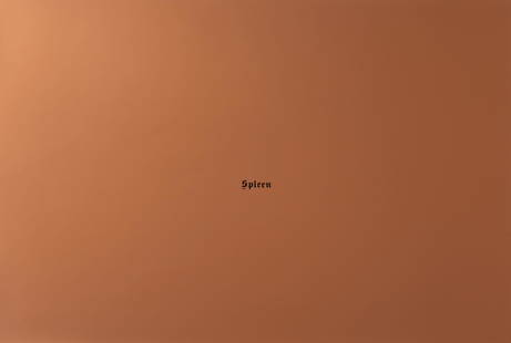 JAN VERCRUYSSE (1948-2018): 'Spleen', 1987.Screenprint on copper coloured paper. Signed, dated and numbered HC VI in pencil. From the portfolio 'België, juni 87', published by the gallery 'De Lege Ruimte', which contained edi