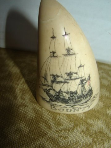 Ivory Scrimshaw Carved Tooth: The Bounty is carved on one side of this 3" tooth with the other side "Leaving England 1787". Bottom has Australian Made and label and Jesper Albany carved in bottom. Very good condition.