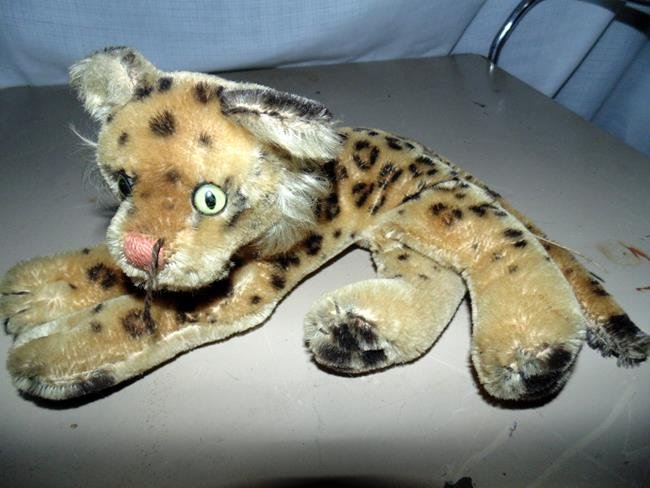 Steiff Tiger: Unmarked Steiff tiger.
