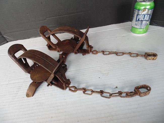 Animal Traps (1 of 1)