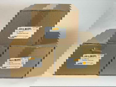 3 Piece Steiff Teddy Bear Lot