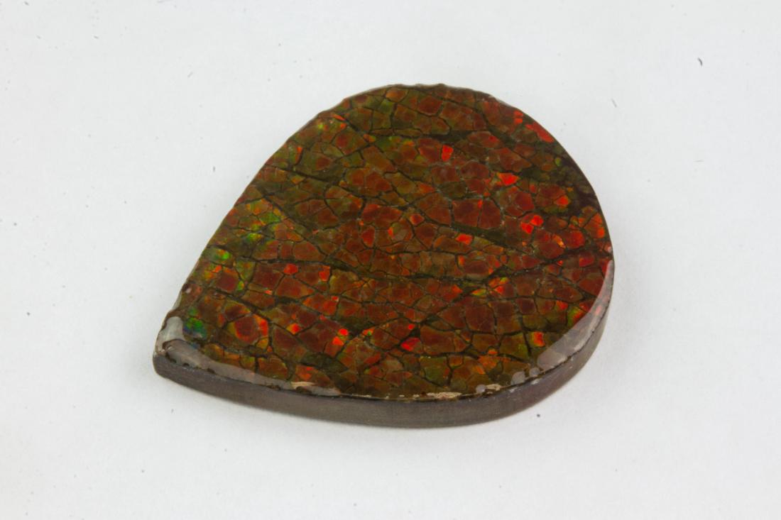 21.60ct Genuine Canadian Ammolite Gemstone RV$ 300 (1 of 3)