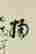 item-54691665=4