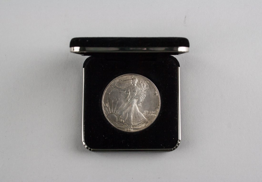 1991 Fine Silver American Dollar Coin (1 of 8)