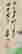 item-60190415=4