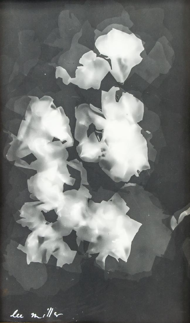 Attr. ELIZABETH MILLER US 1907-1977 Photogram (1 of 5)