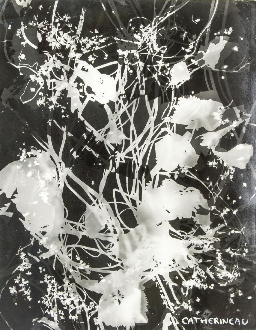 French Photogram Collage Signed Catherineau (1 of 7)