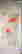 item-69933824=2