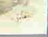 item-74610015=4