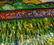 Vincent Van Gogh Dutch Post-Impressionist OOC - 4
