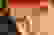 item-77722647=3