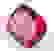 item-78304252=2