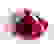 item-81435675=3