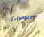item-81999955=4