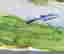item-82000116=4