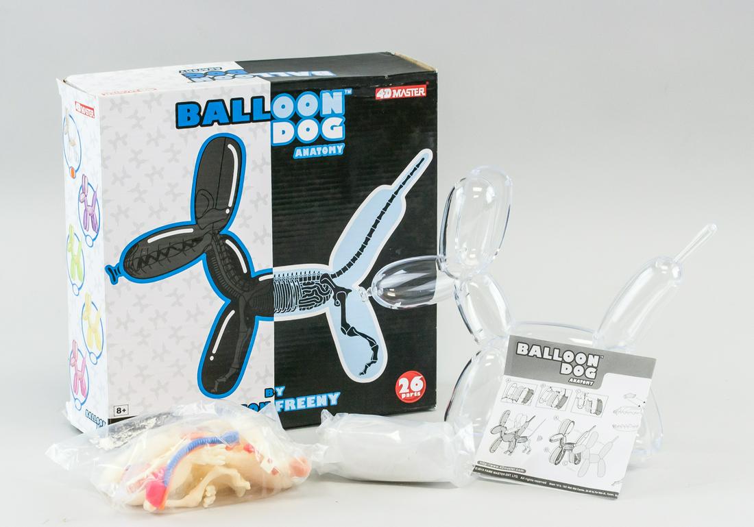 Jason Freeny American Anatomy Balloon Dog 8: Balloon dong anatomy. Includes balloon dog, instruction manual, skeleton, and internal organs. Attributed to Jason Freeny (1970- , American). 25 x 19 x 8 cm. PROVENANCE: This lot carries limited prove