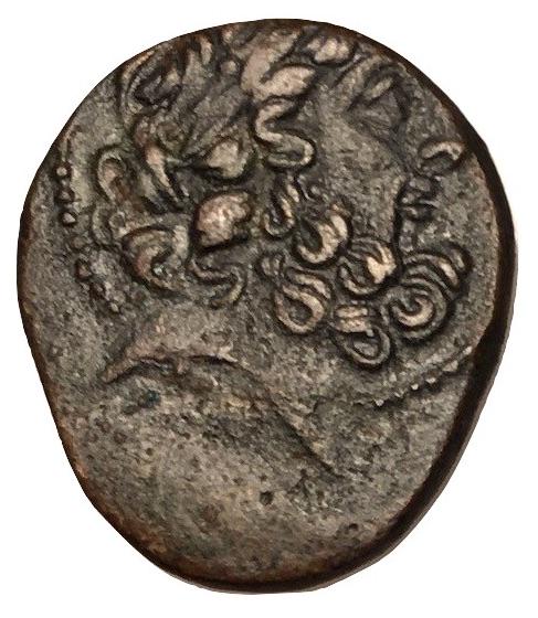 Syria Seleucis & Pieria Antioch Pompaeian Perio (1 of 4)