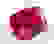 item-84055790=2