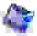 item-84525660=2