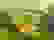 item-85675269=4