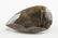 93.00ct Pear Cut Bi-color Natural Sapphire AGSL