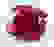 item-88603854=2