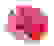 item-89199071=2