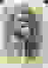 item-96975507=2