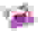 item-99220302=3