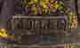 item-100039513=6
