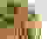 item-104492695=2
