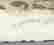 item-107335242=4