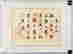 item-117845941=2