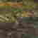 item-130703424=5