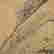 item-130703432=8